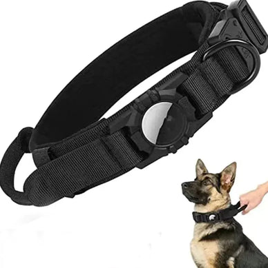 Never Worry About Your Pet’s Safety Again